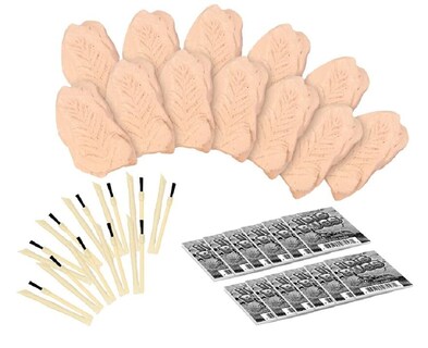 Foto 2 | Foto 2 | Kit De Excavación Trade Big Bug Fossil Dig Con 12 Bichos Reales - Venta Internacional.