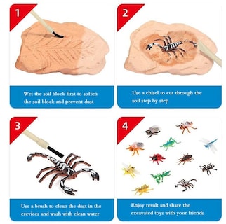 Foto 4 | Foto 4 | Kit De Excavación Trade Big Bug Fossil Dig Con 12 Bichos Reales - Venta Internacional.