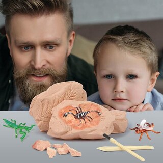 Foto 6 | Foto 6 | Kit De Excavación Trade Big Bug Fossil Dig Con 12 Bichos Reales - Venta Internacional.