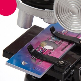 Foto 2 | Foto 2 | Microscope Children Kids Junior Science Lab Kit 450x - Venta Internacional.