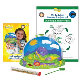 Foto 1 | Foto 1 | Kit De Cultivo De Mariquitas Insect Lore Ladybug Land Con 10 A 15 Larvas - Venta Internacional.
