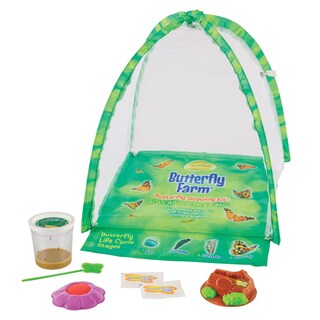 Foto 1 | Foto 1 | Kit De Mariposas Butterfly Farm Insect Lore Con Orugas Vivas - Venta Internacional.