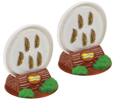 Foto 4 | Foto 4 | Butterfly Pavilion Insect Lore Con 10 Orugas Vivas Y Un Diario - Venta Internacional.