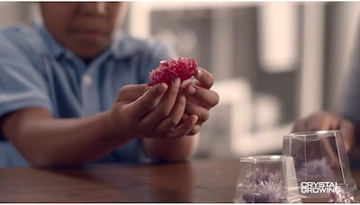 Foto 6 | Foto 6 | Combo De Cultivo De Cristal De Lujo De 4 M De Science Kit Para Niños Mayores De 10 Años - Venta Internacional.