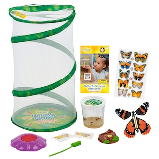Foto 1 | Foto 1 | Set De Regalo Para Jardín De Mariposas Insect Lore 8 Habitat Con Orugas - Venta Internacional.