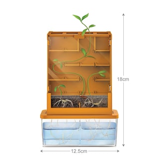 Foto 2 | Foto 2 | Kit Científico Green Science Grow A Maze De 4 Metros Para Niños Mayores De 5 Años - Venta Internacional.