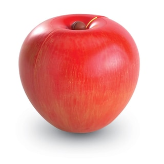 Foto 4 | Foto 4 | Recursos De Aprendizaje Sobre Fracciones Magnéticas De Manzana Con Guía De Actividades - Venta Internacional.