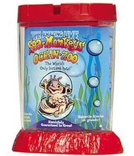 Foto 2 | Foto 2 | Los Colores De Sea Monkeys Ocean Zoo Schylling Pueden Variar - Venta Internacional.