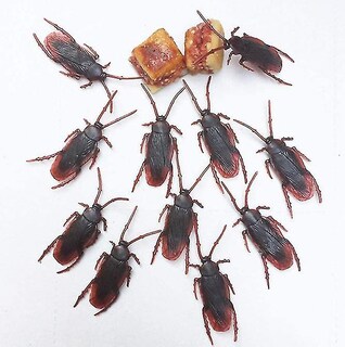 Foto 5 | Foto 5 | Cucarachas Falsas Para Bromas, 50/100 Unidades, Para El Día De Los Inocentes Y El Salón De Los Inoce - Venta Internacional.