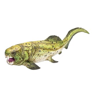 Foto 5 | Foto 5 | Figura De Dinosaurio Mojo Dunkleosteus, Juguete Realista - Venta Internacional.