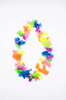 Foto 6 | Foto 6 | 24 Pzas Lente Gigantes + Collares Hawaianos Fiesta Batucada