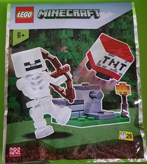 Foto 2 | Foto 2 | Venta Internacional - Lego Minecraft: Esqueleto Con Lanzador Tnt Y Fichas De Bonificación