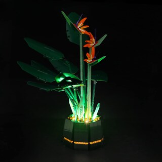 Foto 3 | Foto 3 | Kit De Iluminación Briksmax Para Lego Creator Bird Of Paradise 1028 - Venta Internacional.