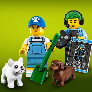 Foto 3 | Foto 3 | Campeón De Videojuegos Toy Lego Series 19 Con Accesorios - Venta Internacional.