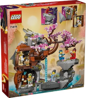 Foto 5 | Foto 5 | Juego Lego Ninjago Dragon Stone Temple Dragon Dragon De Juguete 71819 - Venta Internacional.