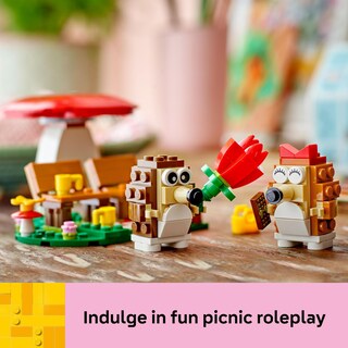 Foto 6 | Foto 6 | Juguete De Construcción Lego Hedgehog Picnic Date Con 2 Erizos De Más De 8 Años - Venta Internacional.