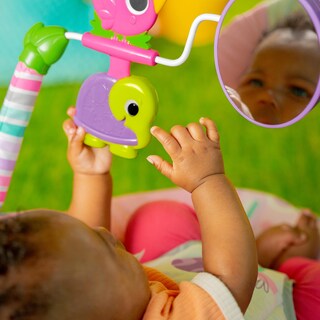 Foto 5 | Foto 5 | Baby Bouncer Bright Starts Pink Paradise Con Asiento Vibratorio - Venta Internacional.