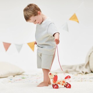 Foto 5 | Foto 5 | Pull Toy Hape Walk-a-long Cachorro Para Niños Pequeños, Color Rojo Y Naranja - Venta Internacional.