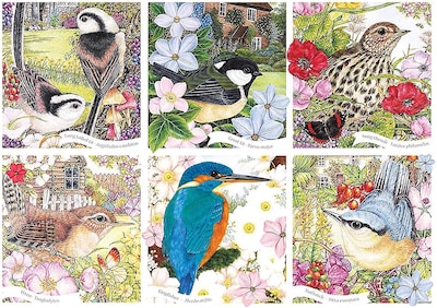 Foto 1 | Foto 1 | Venta Internacional - Rompecabezas Otter House Rspb Garden Birds 1000 Piezas