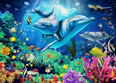 Foto 1 | Foto 1 | Venta Internacional - Rompecabezas Nattork 1000 Piezas Sea World Para Adultos