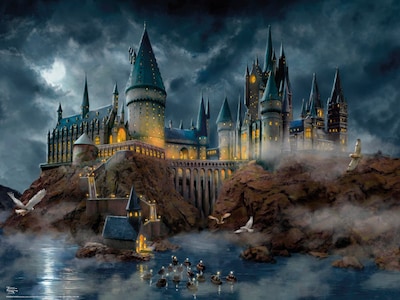 Foto 1 | Foto 1 | Rompecabezas Ceaco Thomas Kinkade Harry Potter 1500 Piezas - Venta Internacional.