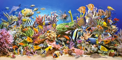 Foto 2 | Foto 2 | Puzzle Castorland Underwater Life De 4000 Piezas Con 138 X 67 Cm - Venta Internacional.
