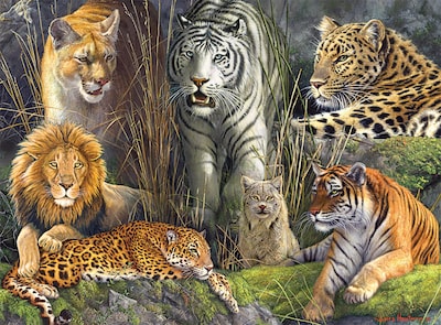 Foto 1 | Foto 1 | Rompecabezas Buffalo Games James Hautman Big Cat 1000 Piezas - Venta Internacional.