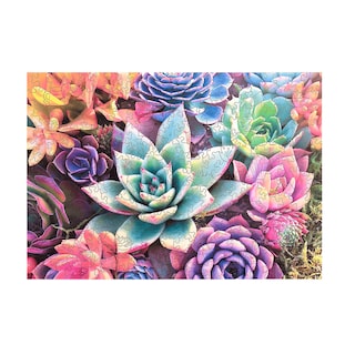 Foto 2 | Foto 2 | Rompecabezas Buffalo Games Succulent, 250 Piezas, Más De 14 Años - Venta Internacional.