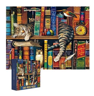 Foto 1 | Foto 1 | Rompecabezas De 70 X 50 Cm De Gato Y Libros, 1000 Piezas Gato Libros