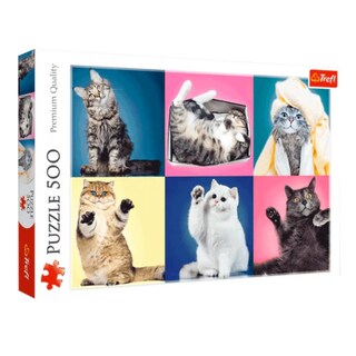 Foto 1 | Foto 1 | Gatos: Rompecabezas 500 Piezas | Expresiones Felinas Y Estilo Fotográfico | Trefl