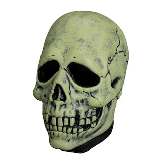 Foto 2 | Foto 2 | Máscara De Disfraz Trick Or Treat Studios Glowin Ghoulies Skull - Venta Internacional.