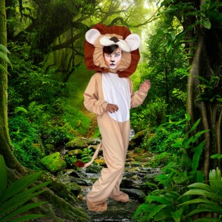 Foto 2 | Foto 2 | Disfraz De León - Disfraces Animalitos - Vestuario De Leoncito - Animales Primavera - Mameluco Leon Con Gorro - Trajes De Hallow