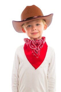 Foto 3 | Foto 3 | Sombrero Vaquero Aeromax Junior Con Bandana Marrón - Venta Internacional.