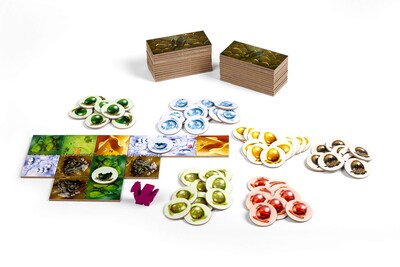 Foto 5 | Foto 5 | Juego De Mesa Blue Orange Games Dragomino My First Kingdomino - Venta Internacional.