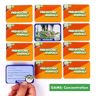 Foto 4 | Foto 4 | Juegos De Cartas The Young Scientist Prehistoric Animal Age 5+ - Venta Internacional.
