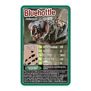 Foto 3 | Foto 3 | Juego De Cartas Top Trumps Bugs Classic Educational 6+ Years - Venta Internacional.