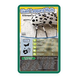 Foto 6 | Foto 6 | Juego De Cartas Top Trumps Bugs Classic Educational 6+ Years - Venta Internacional.