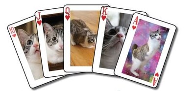Foto 2 | Foto 2 | Juego De Cartas Lil Bunny Sue Roux De Golden Bell Studios - Venta Internacional.
