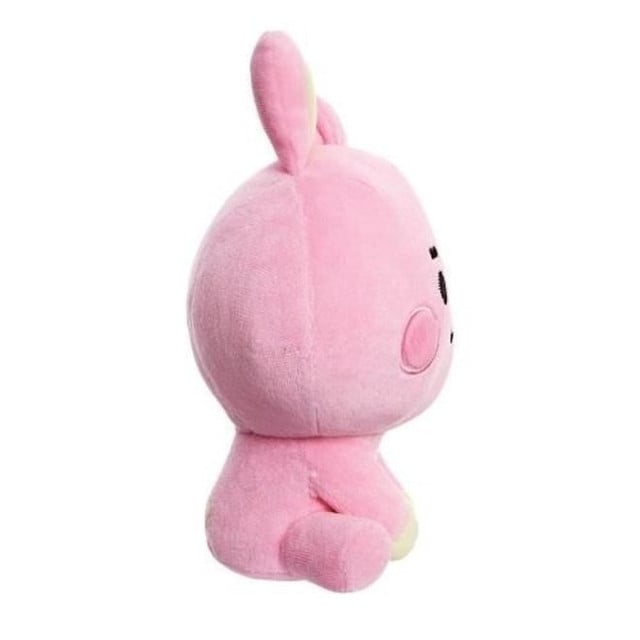 Bts Jungkook Peluche Peluche De Cooky Peluche Core BTS Cooky Color