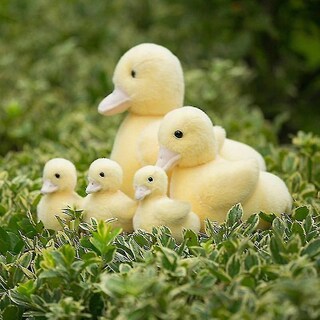 Foto 3 | Foto 3 | Venta Internacional - Peluche de Pato Amarillo 28 cm