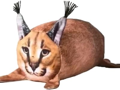 Foto 5 | Foto 5 | Venta Internacional - Peluche De Peluche Big Floppa Con Dibujos Animados De Gato, 25 Cm De Alto, Con Algodón Polipropileno