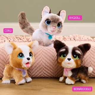 Foto 6 | Foto 6 | Toy Just Play Furreal Poop-a-lots Corgi Interactive, 20 Cm - Venta Internacional.