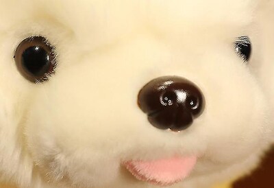 Foto 2 | Foto 2 | Set De Regalo Para Muñeca Huoguo Con Vestido Pomerania De Peluche De 35 Cm - Venta Internacional.