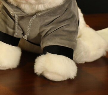 Foto 3 | Foto 3 | Set De Regalo Para Muñeca Huoguo Con Vestido Pomerania De Peluche De 35 Cm - Venta Internacional.