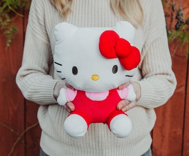 Foto 5 | Foto 5 | Monedero De Peluche Plateado Buffalo Sanrio Hello Kitty Soft - Venta Internacional.