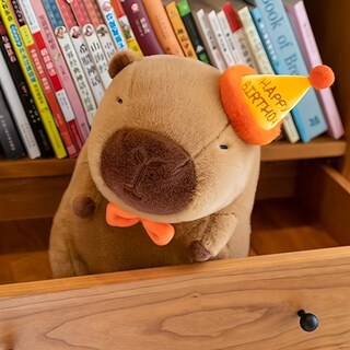 Foto 5 | Foto 5 | Juguete De Peluche Sanmu Cartoon Capybara Trend Bonito Para Niños - Venta Internacional.