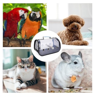 Foto 4 | Foto 4 | Jaula De Viaje Para Pájaros, De Pvc Transparente, Para Mascotas - Venta Internacional.