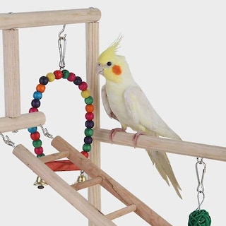Foto 4 | Foto 4 | Escalera De Madera Para Pájaros Huoguo Parrot, Columpio Y Escalada - Venta Internacional.