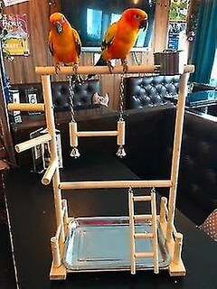 Foto 3 | Foto 3 | Sillas De Juego Bird Toys Para Loros Con Taza, Bandeja, Puente De Madera - Venta Internacional.