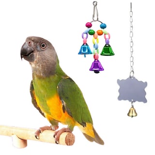 Foto 3 | Foto 3 | Juego De Juguetes Parrot Bird, 10 Unidades, Pequeño Soporte De Escalera Para Jaula - Venta Internacional.